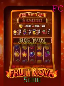FruitNova: Explore o Universo Colorido e Divertido do Novo Jogo de Cartas